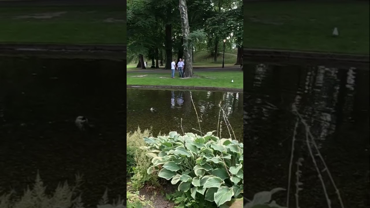 Slottsparken#4 - A pearl in the heart of Oslo #slottsparken #oslo #sommer