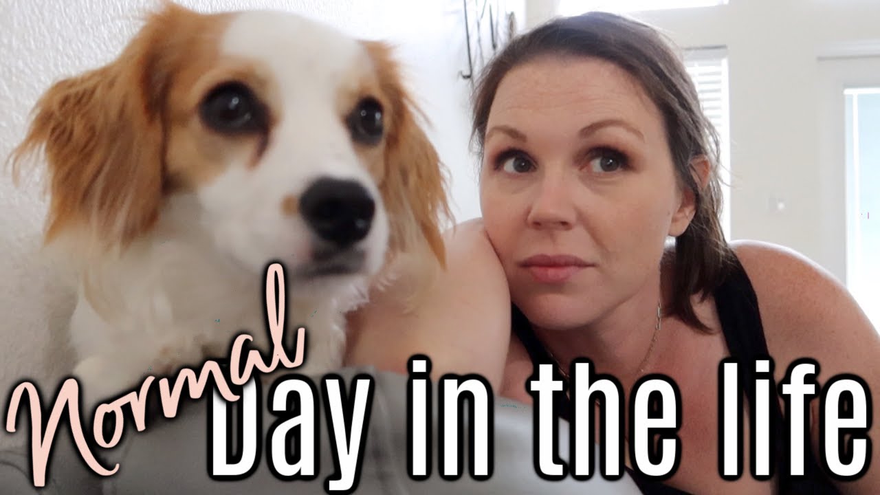 NORMAL DAY IN THE LIFE | COOK WITH ME | HOW TO MAKE SALISBURY STEAK + GRAVY
