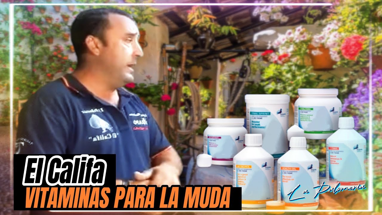 Vitaminas en la Muda de la Paloma