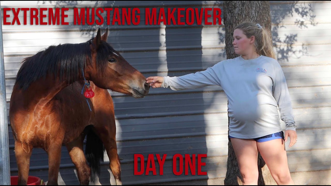 Extreme Mustang Makeover | Day One
