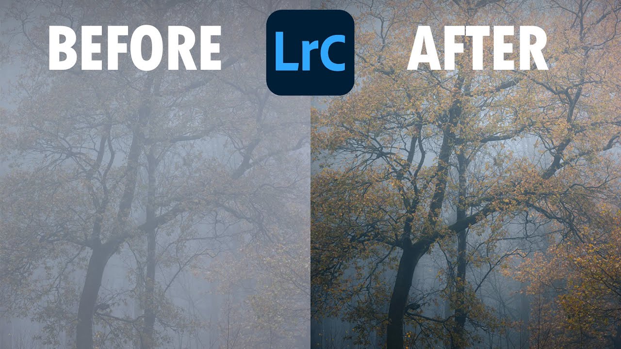 Как редактировать туманные изображения в Lightroom