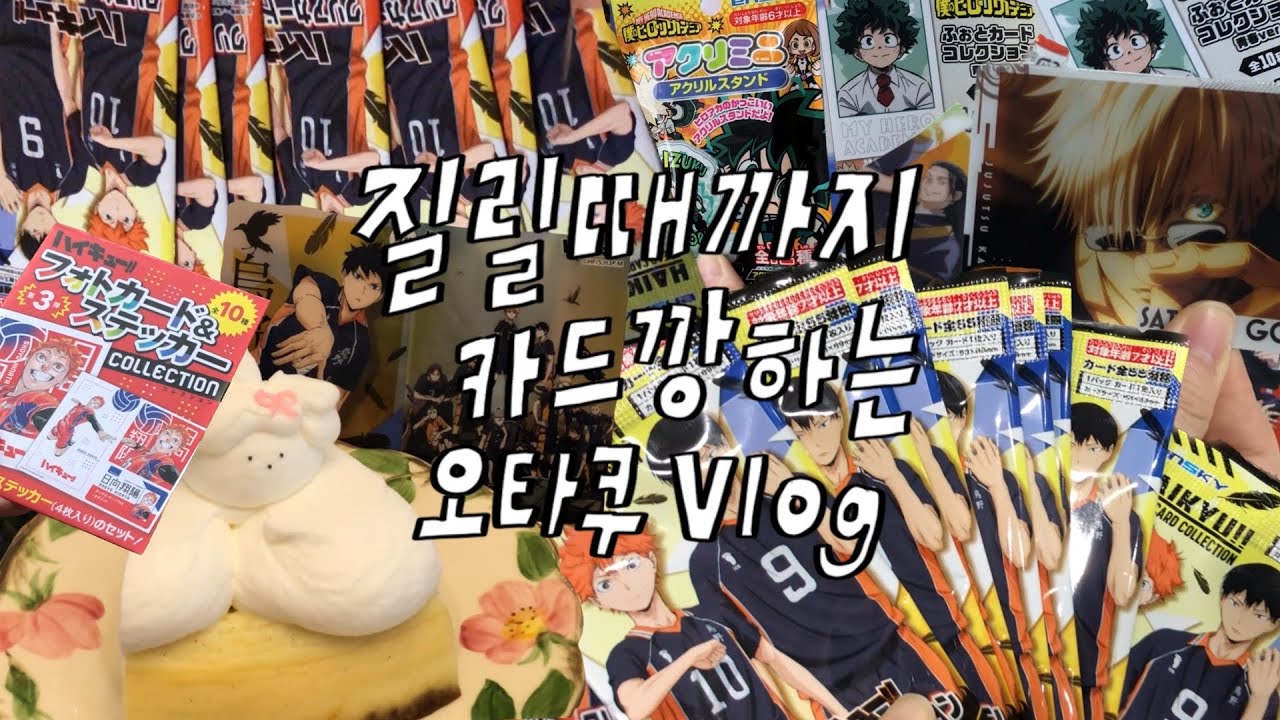 [오타쿠 브이로그] 카드깡에 지치셨나요? 아니요. 미쳤습니다 | 브이로그 | vlog | 하이큐 | 히로아카 | 주술회전 | 카드깡 | 랜덤깡 | 애니메이트 | 더쿠샵 | 꼬꼬굿즈