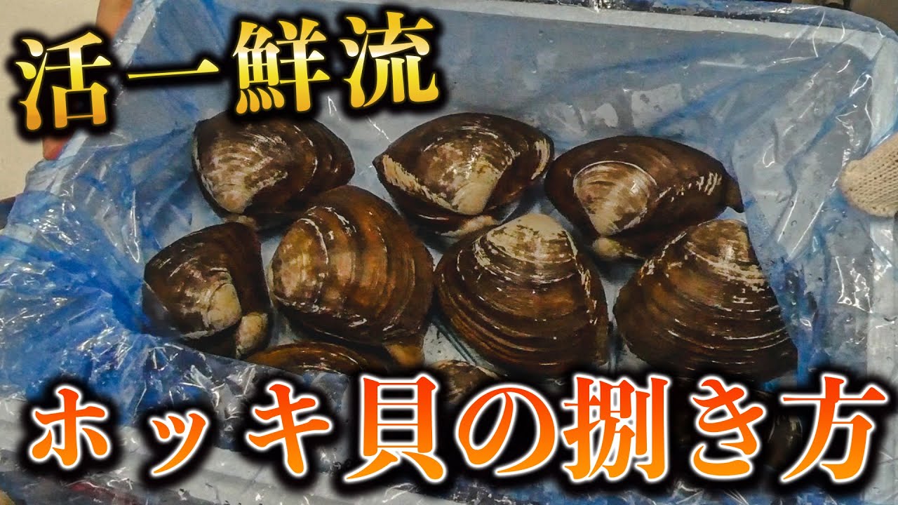 【ホッキ貝の捌き方】英語翻訳付き