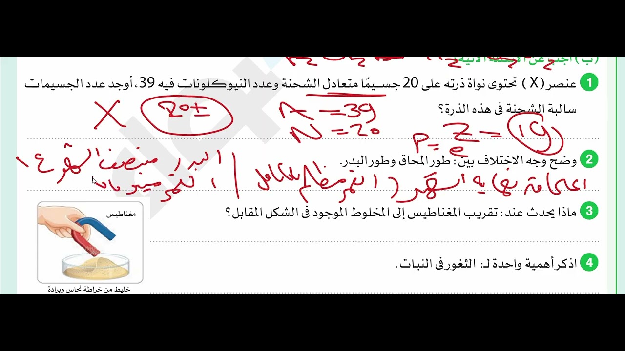 الفيدوى الثانى الصف الاول  5 اختبارات