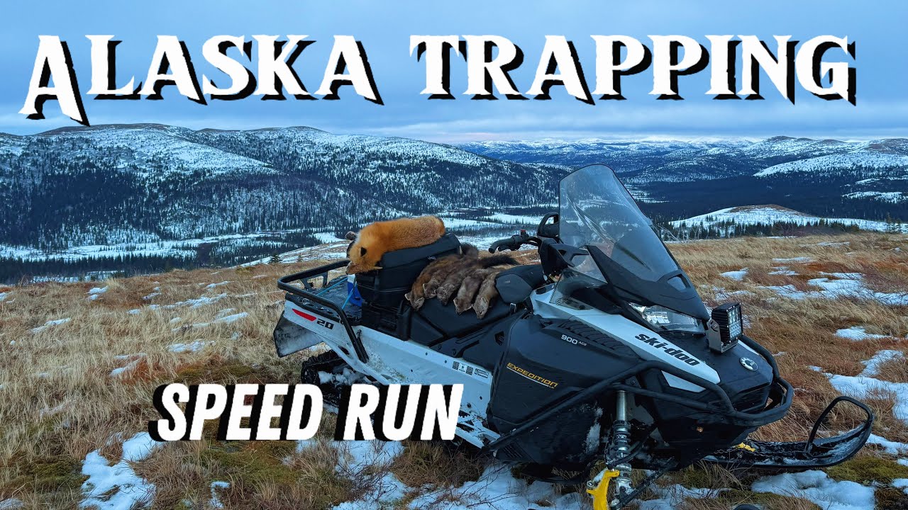 January Thaw - Alaska Trapping Series