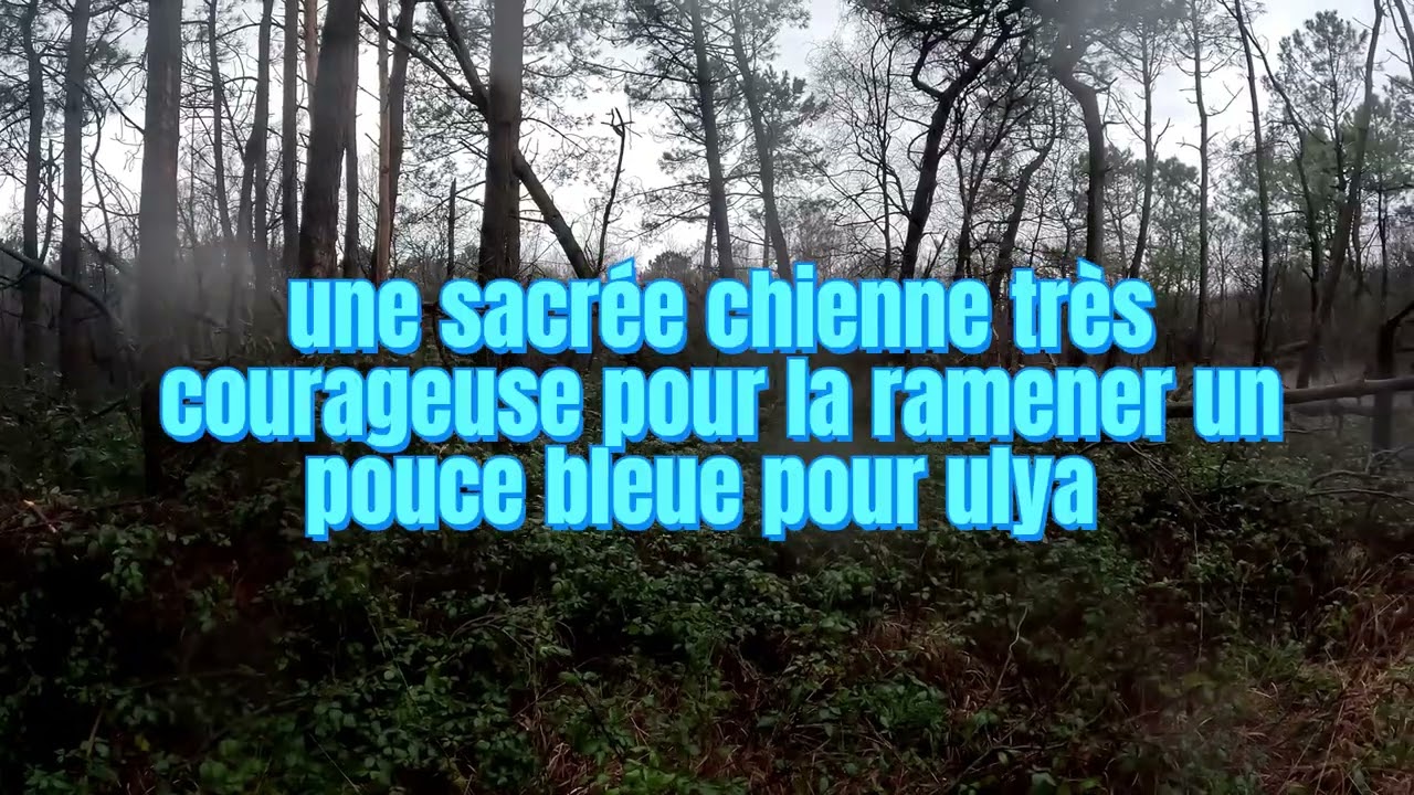 BECASSE NORMANDIE 3 AU 410