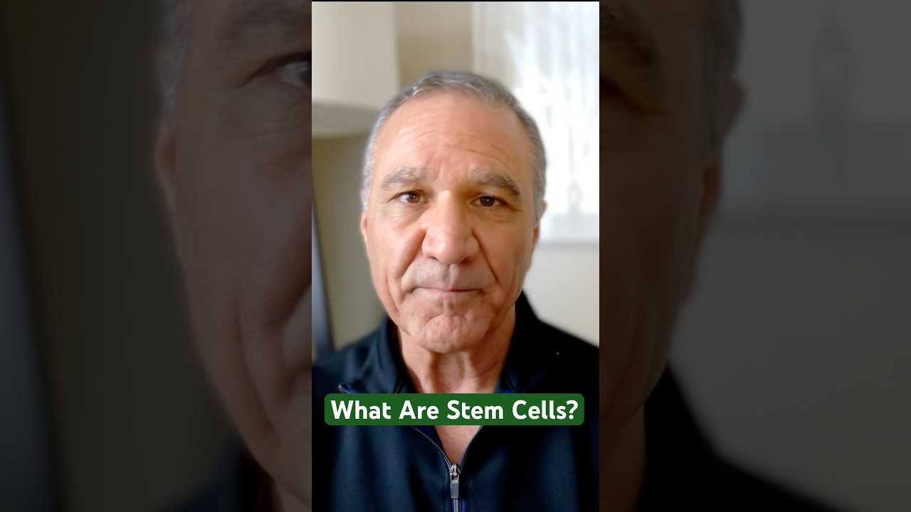What Are Stem Cells?