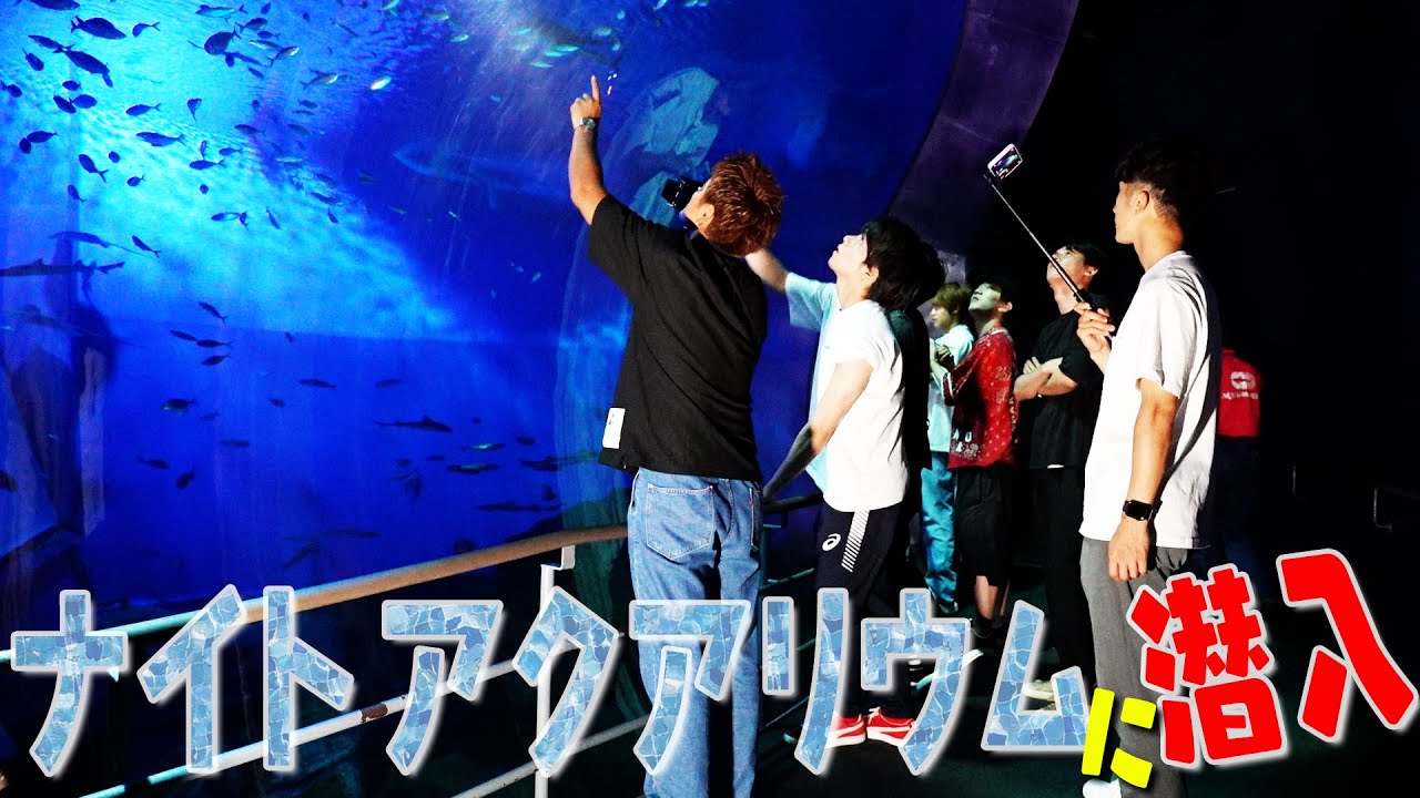 【みんなで朝日を見に行こう旅】夜の水族館でノゾッシュと出会った～03～