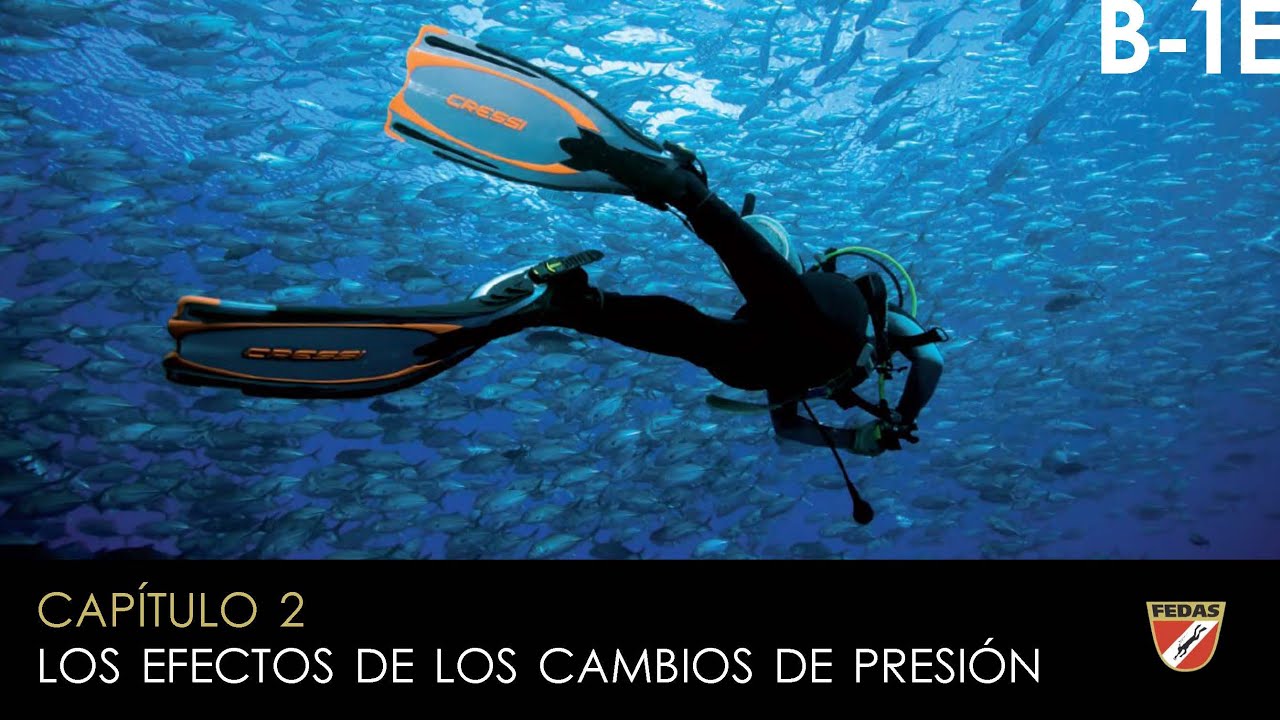 Buceador 1 estrella (FEDAS): 2. LOS EFECTOS DE LOS CAMBIOS DE PRESIÓN