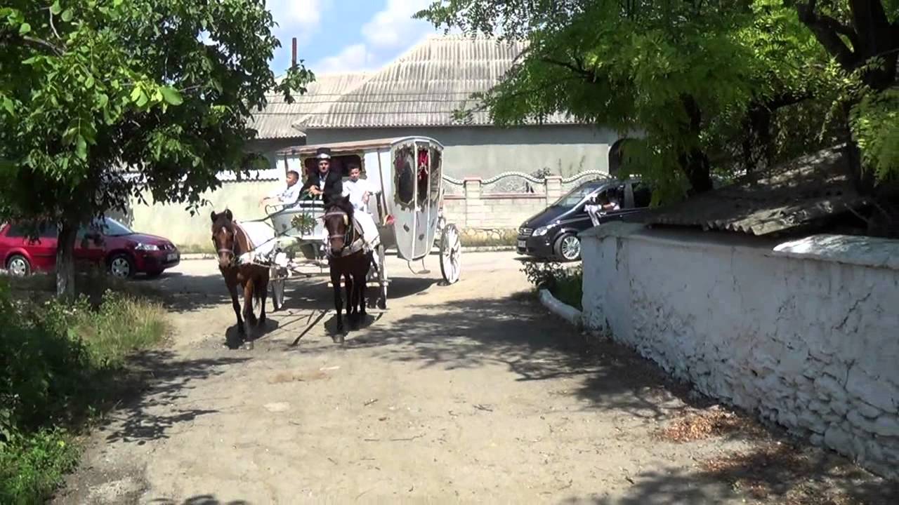 Cununie Telenesti