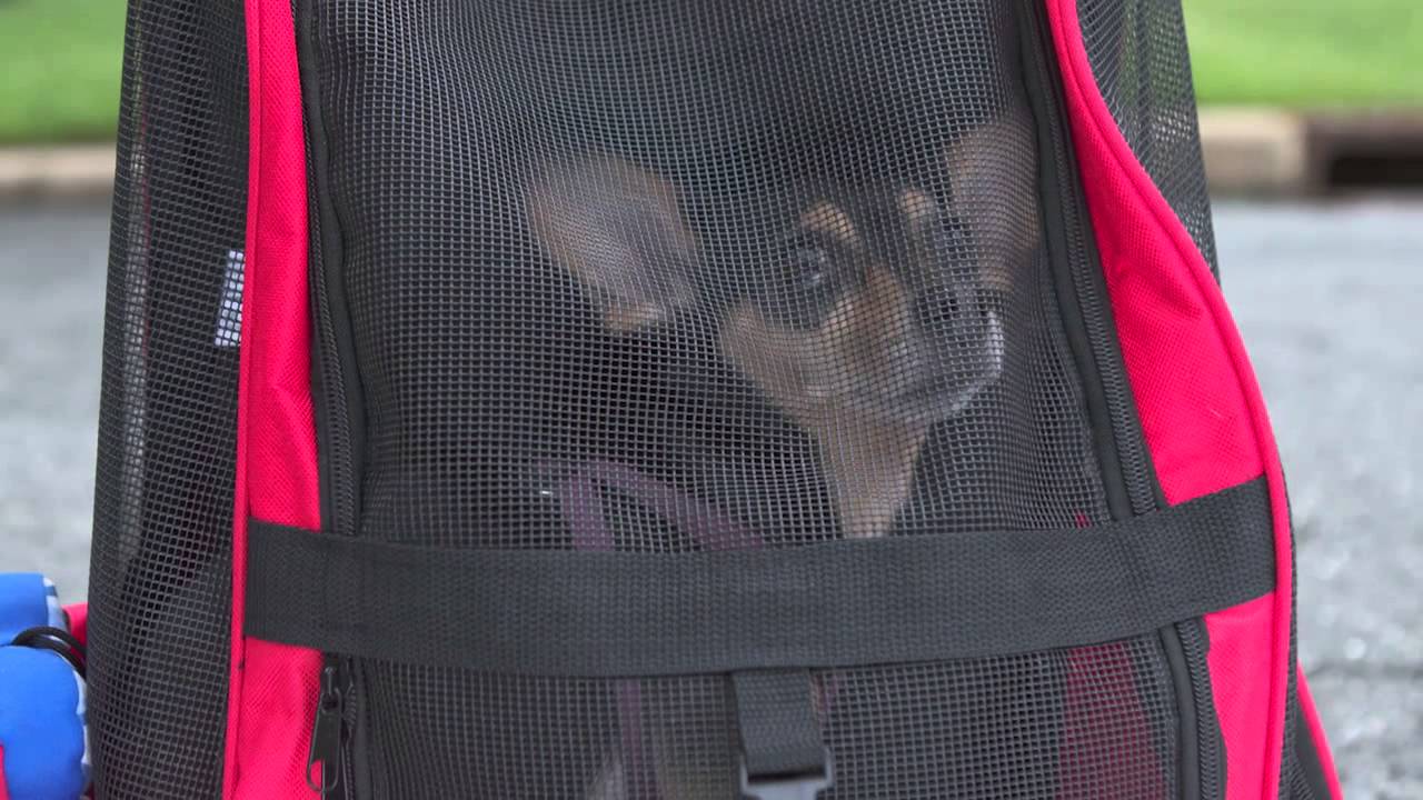Bring your pets everywhere with the Pet Stroller