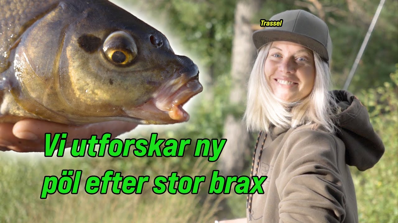 Vi utforskar — ny regnbågspöl efter stor brax