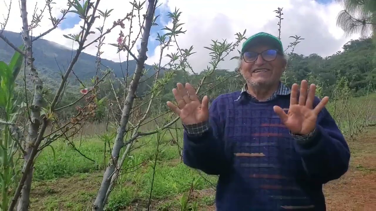 ¿Comprensadores antidormansia? ¿ Provocadores de estres?