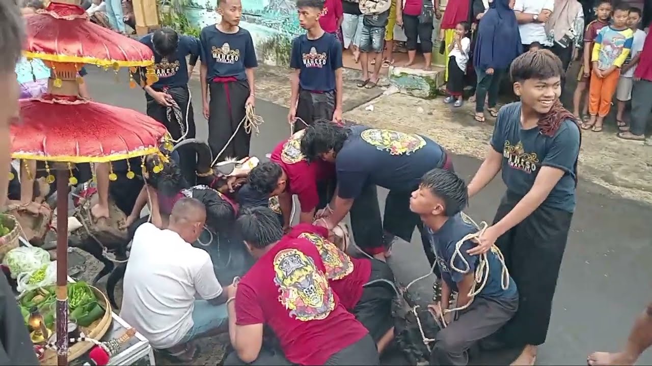 MAHESO DAMAR JATI KALAPAN