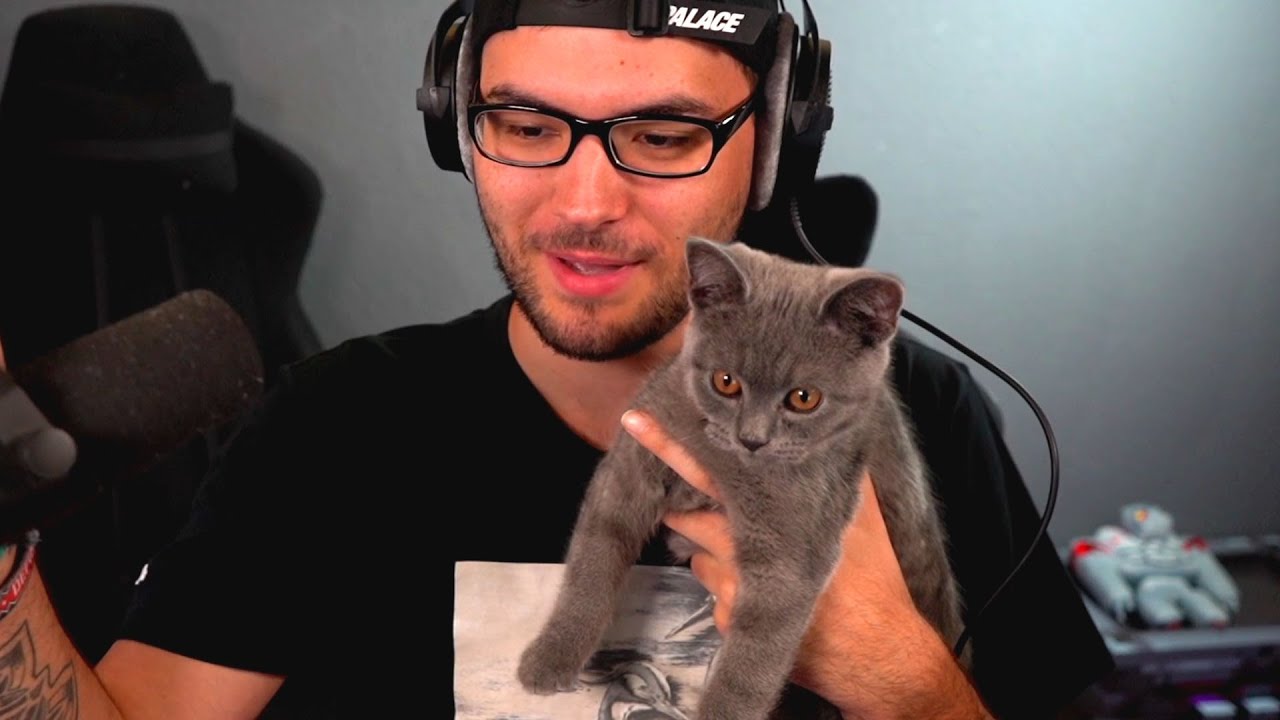 KATZE HILFT IN MEINEM VIDEO!