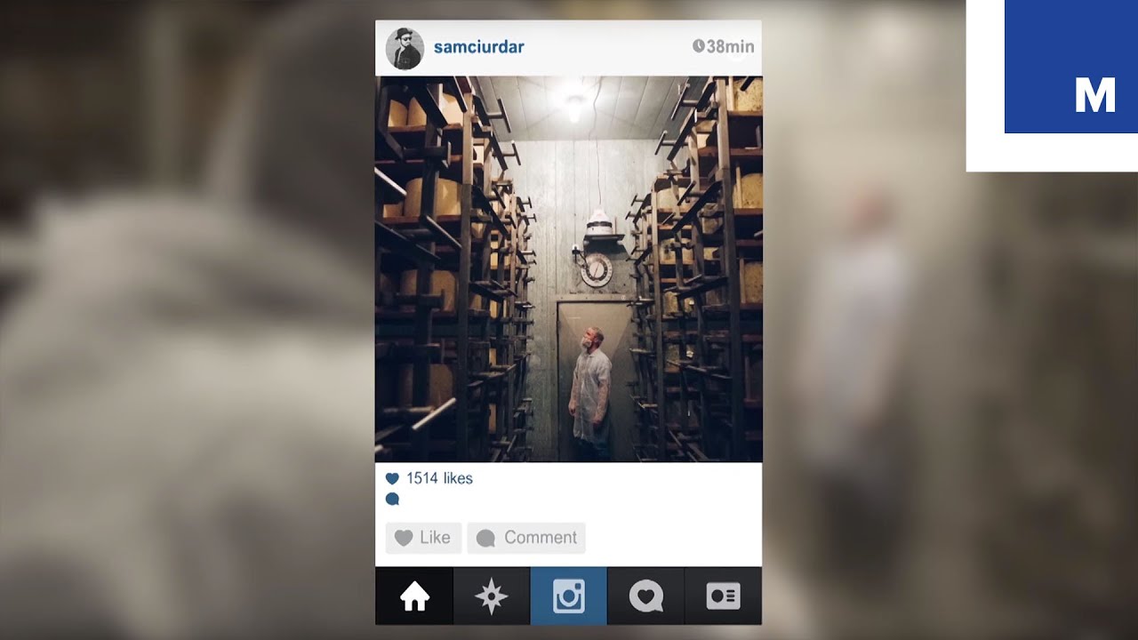 Modern day dairy farming through the eyes of Instagrammers