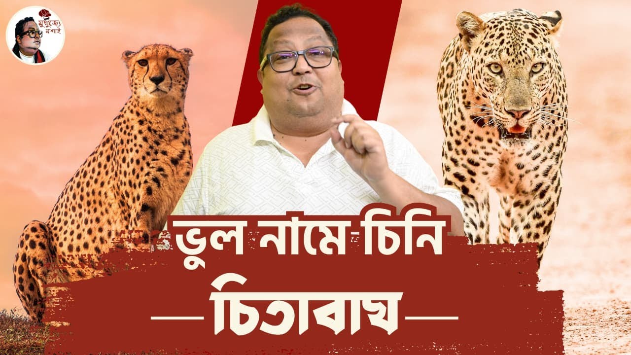 ভুল নামে চিনি — চিতাবাঘ | চিতা বনাম চিতাবাঘ | Leopard এর বাংলা কী? | Bengali Wildlife Explained |