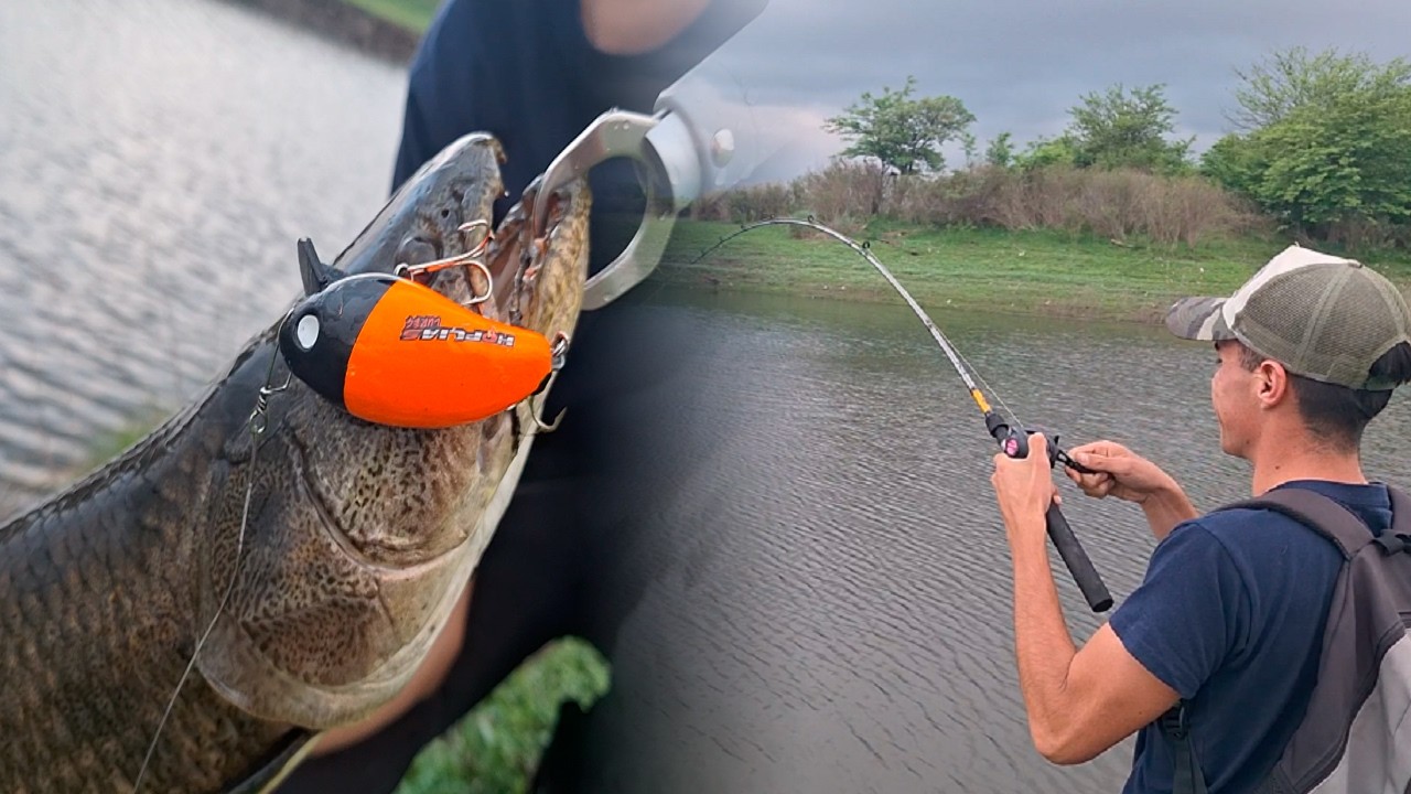 PESCA en CORDOBA de TARARIRAS con señuelo en un LUGAR muy FACIL de LLEGAR