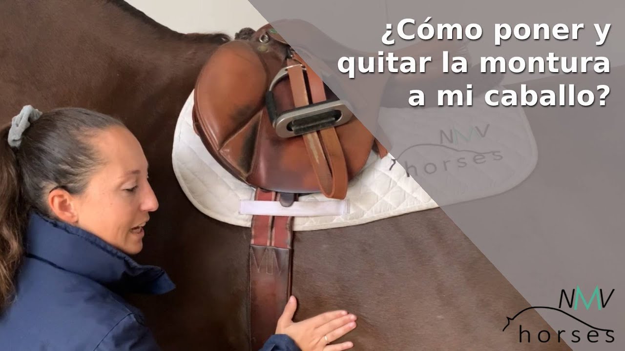 🐴Cómo poner la montura a tu caballo paso a paso🐴 Aprende a montar a caballo🐴