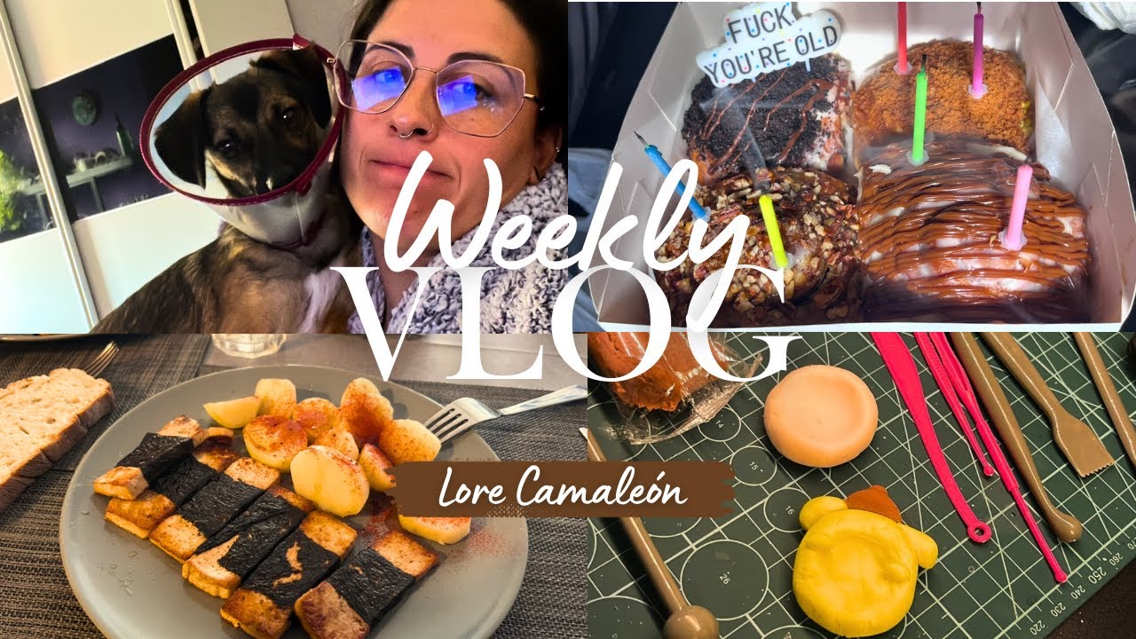 WEEKLY VLOG: Receta pescado vegetariano, perro lámpara y worry stones