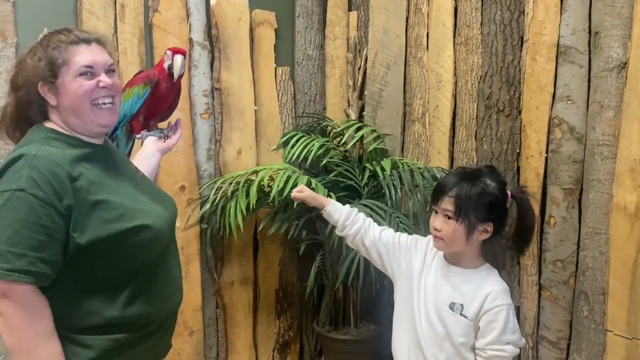 Bird’s kingdom 