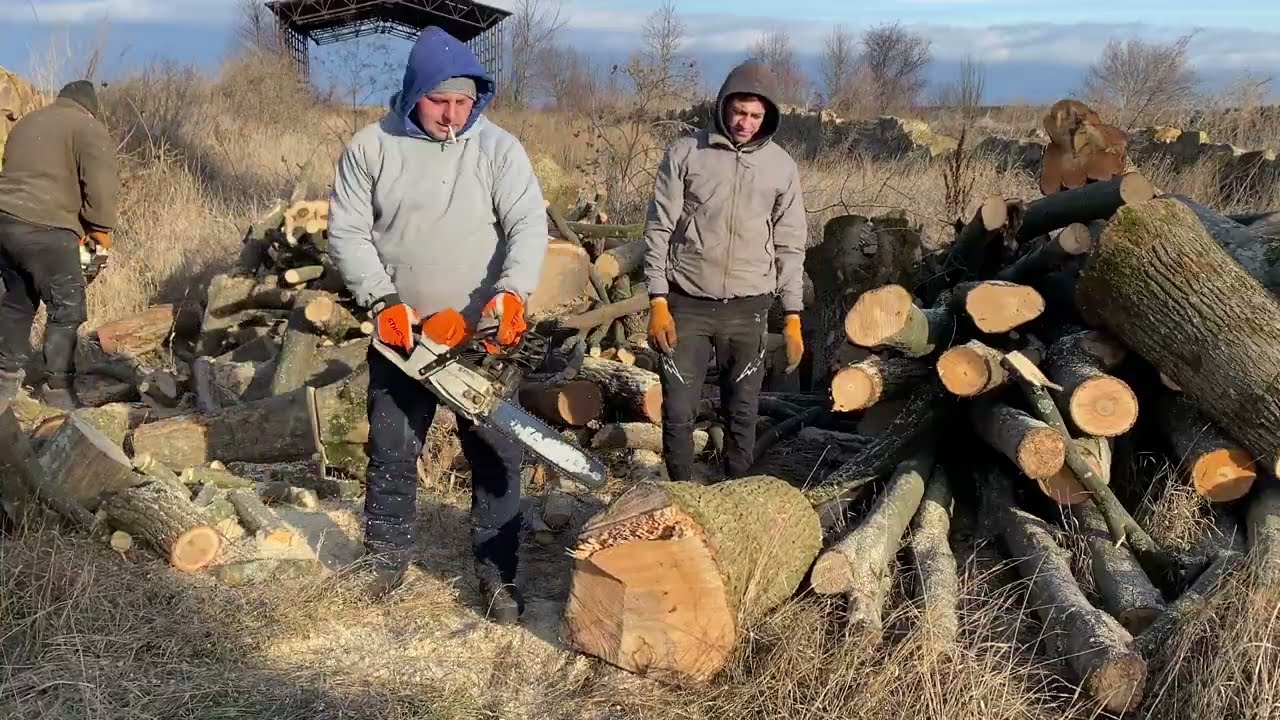 High-Risk Forest Work Explained: Chainsaws and Precision