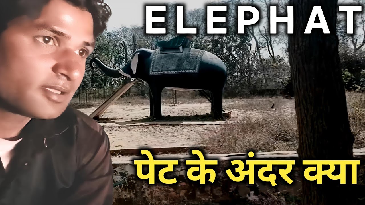 Elephant के पेट अंदर क्या मिला 😱।  Park Avenue 