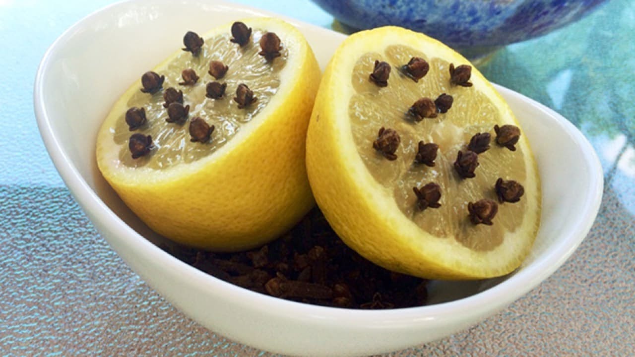 5 Natural Ways To Keep Flies Out Of Your Home & Garden