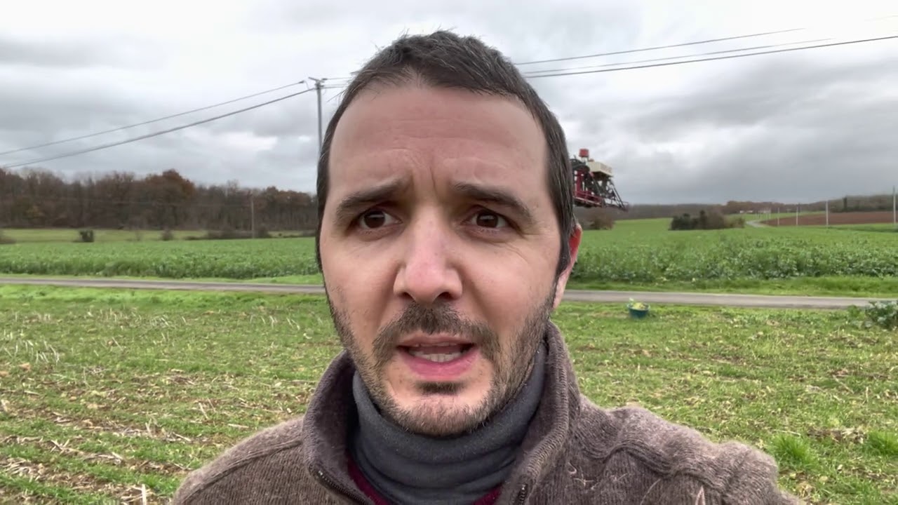 Pesée des colza associés