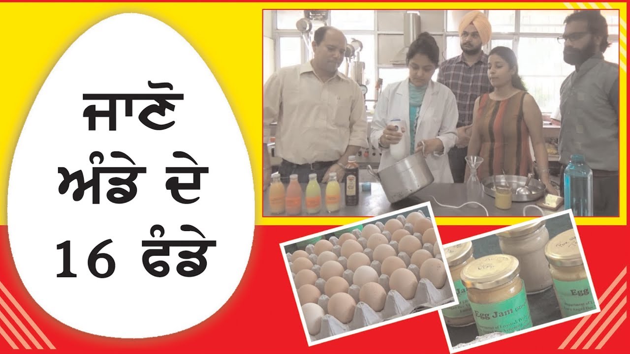 Let us Know about egg products