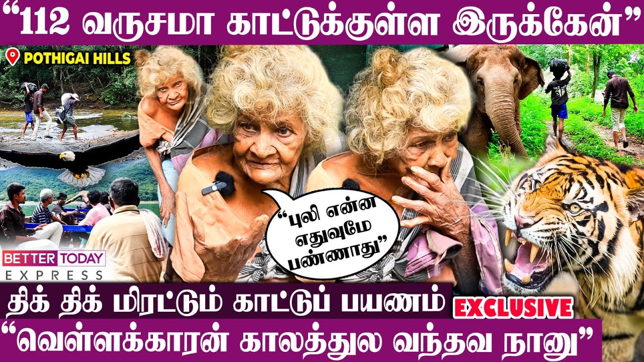 “யானை, கரடி, புலி வீட்டு வாசல்ல வந்து நிக்கும்” -இஞ்சிக்குழி காட்டில் கெத்தாக வாழும் Kuttyamma Patty