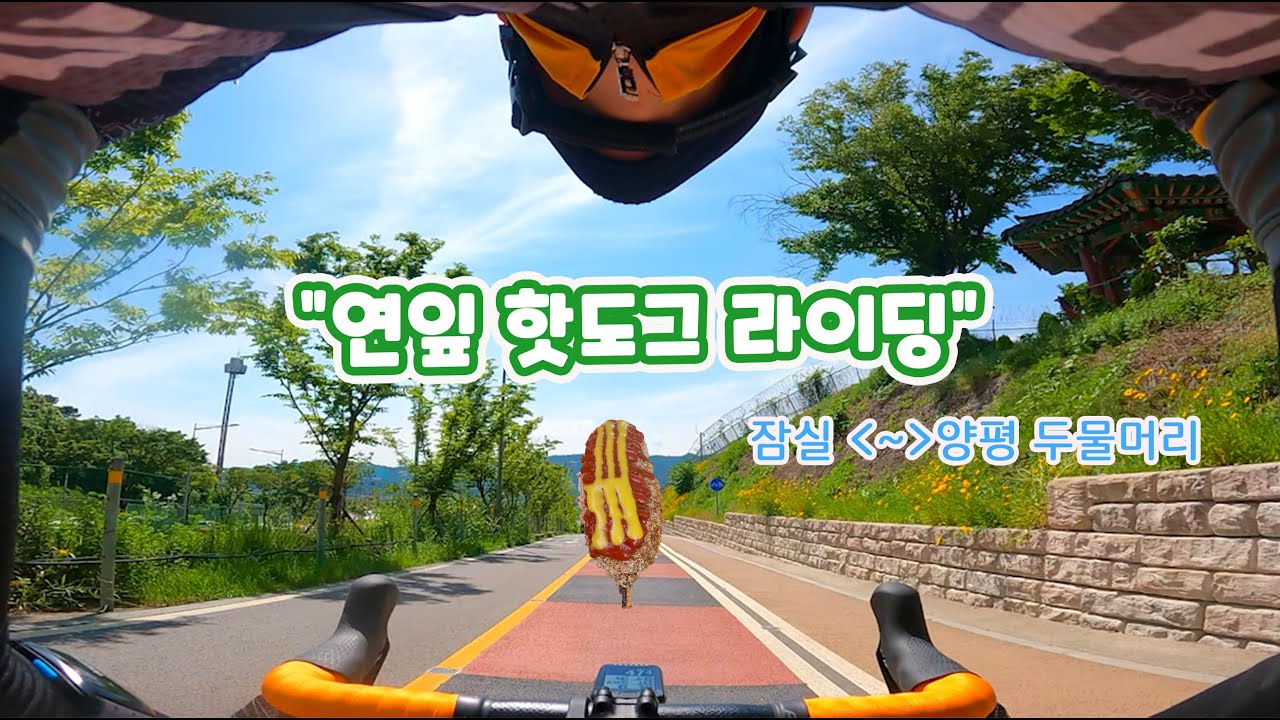 연잎핫도그 라이딩/양평 두물머리 /자전거여행/로드자전거