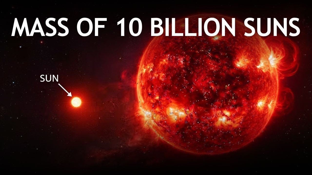 The Largest STAR We’ve Ever Found in the Universe!