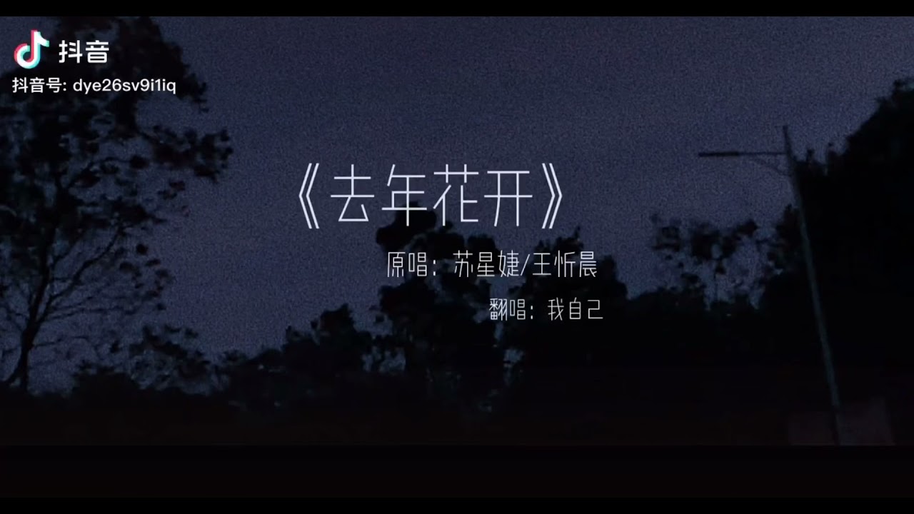 【抖音合集】《Zyboy.》翻唱-COVER 抖音2021很火的歌曲『游山恋，想自由，句號，我好像在哪見過你，重來一次，虛拟，雾里，桃花诺，再見，體面，反方向的鐘，十年人間，平行世界，。。。』