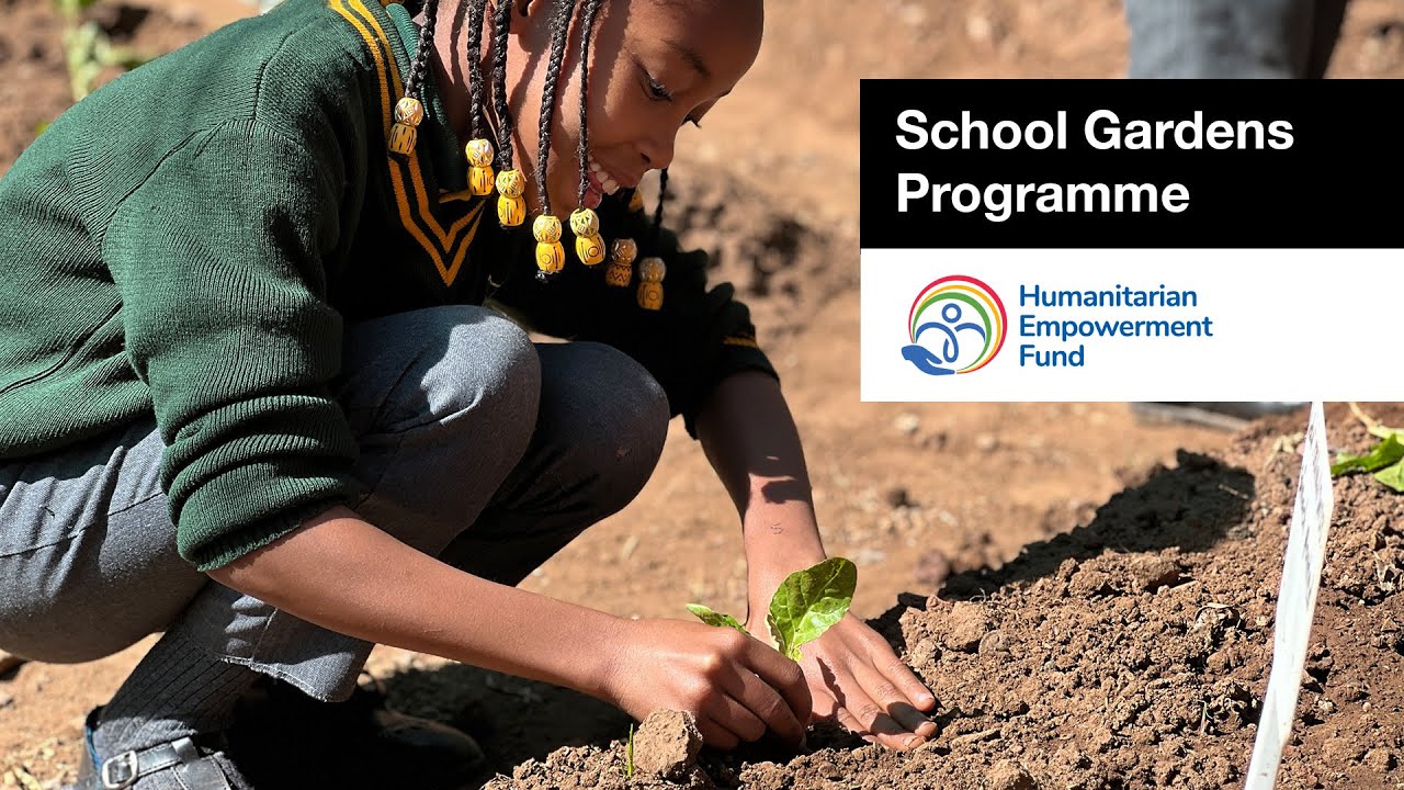 HEF | School Garden Programme  |  Newclare Primary