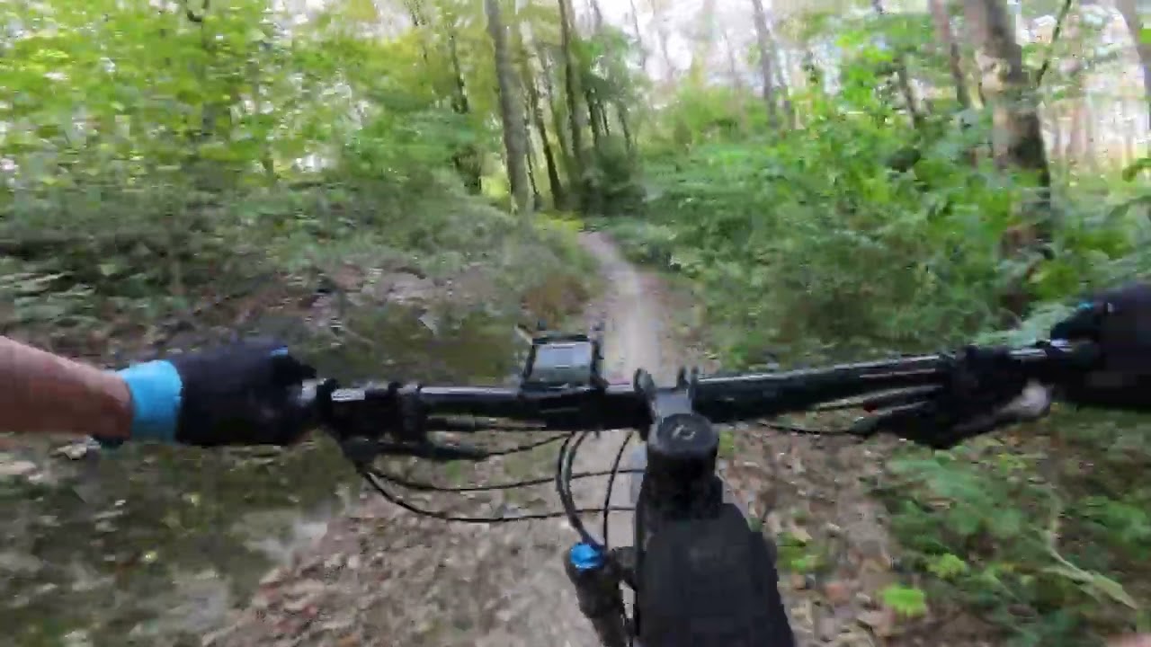 Singletrack Rząśnik Bagno Pulwy 2025