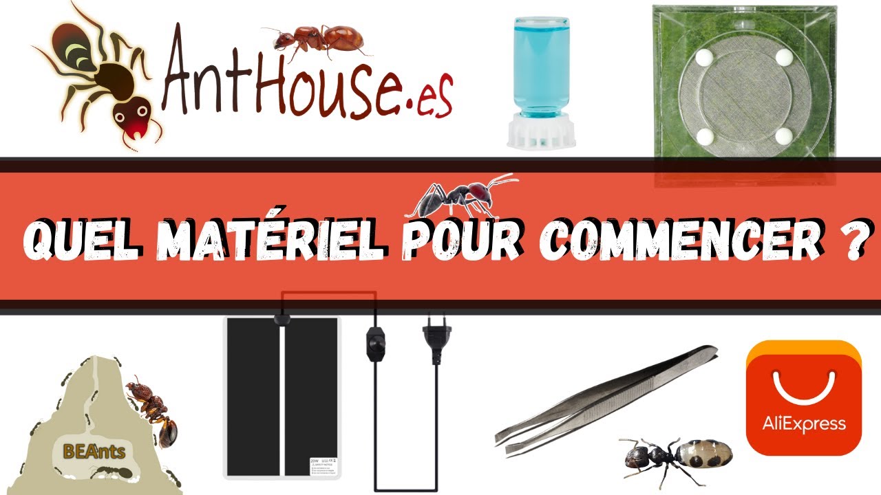 Le matériel nécessaire ( selon moi ) pour commencer l'élevage de fourmis .