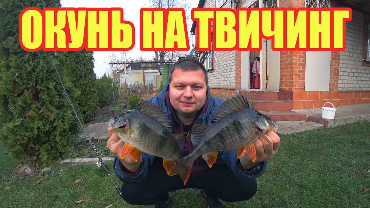 Ловля ОКУНЯ на СПИННИНГ. Полосатые кабаны клюют на ТВИЧИНГ.