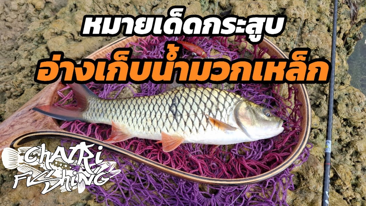 หมายเด็ดตกปลากระสูบ อ่างเก็บน้ำมวกเหล็กสระบุรี