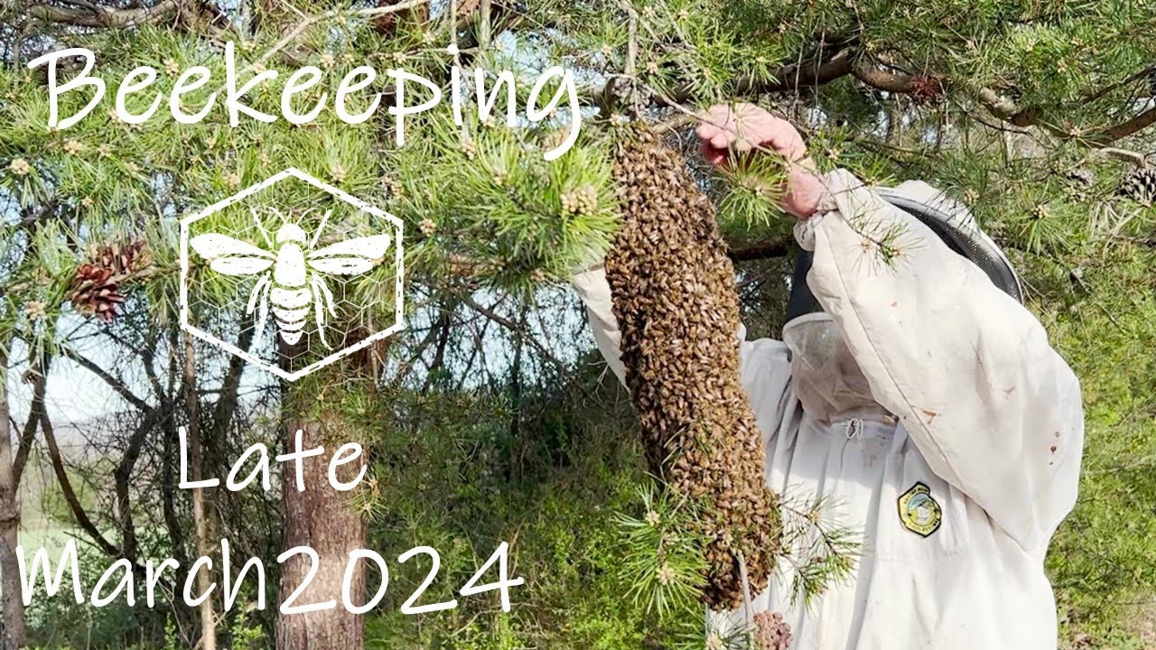 Beekeeping 24-06 - Late March 2024