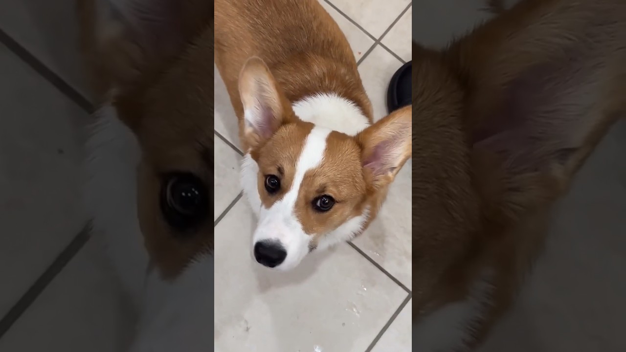 I Have Heat Resistant Hands