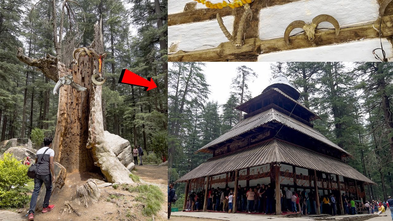 दुनिया का सबसे अजीब मंदिर जहा कभी भगवान् की पूजा नहीं हुई  | Strange Idol In Hidimba Temple |