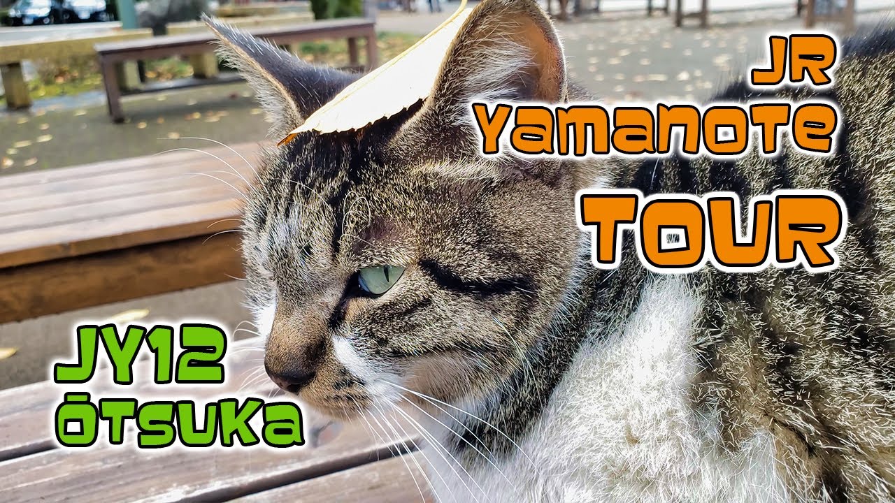 WHAT TO DO around ŌTSUKA Station | Yamanote Tour「JY12」
