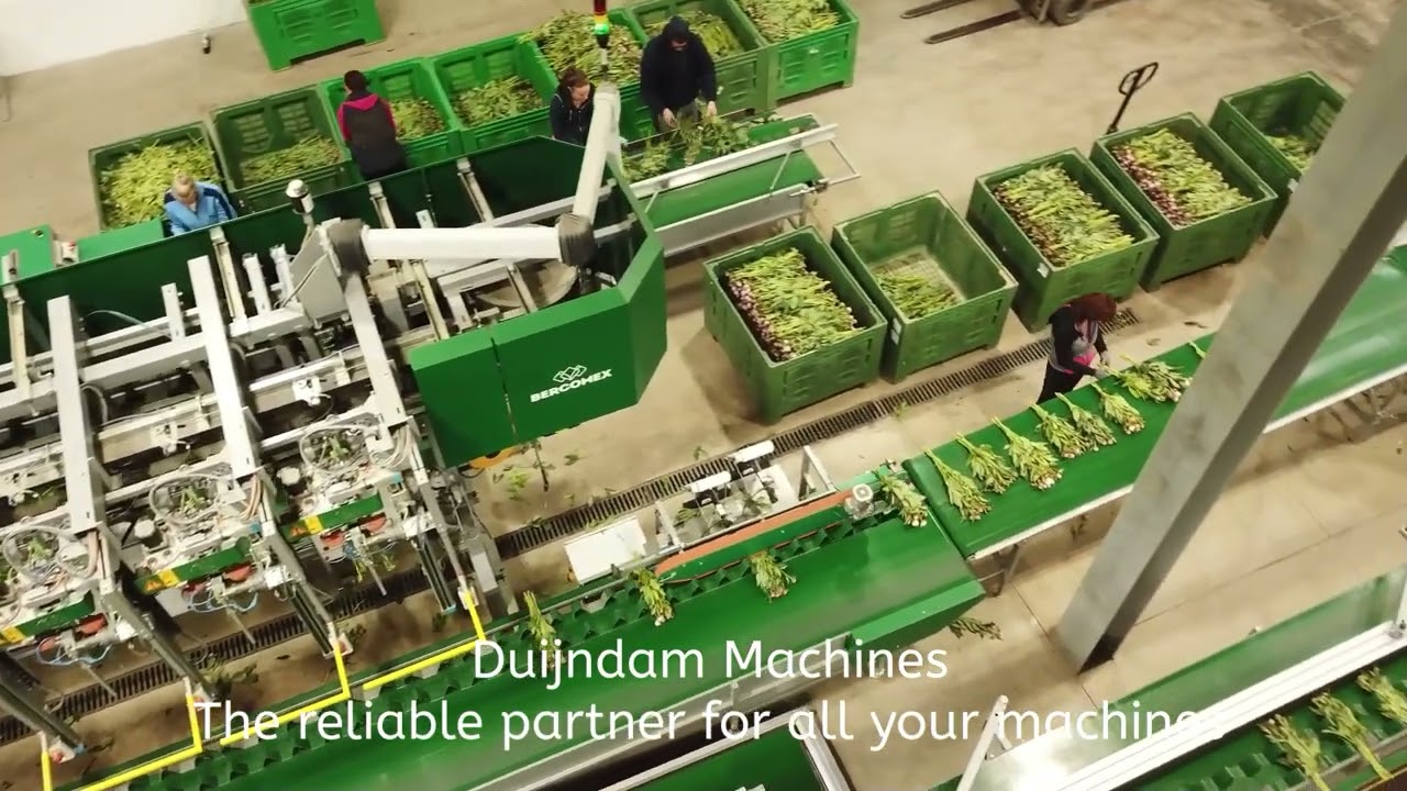 Bercomex Furora flower processing machine