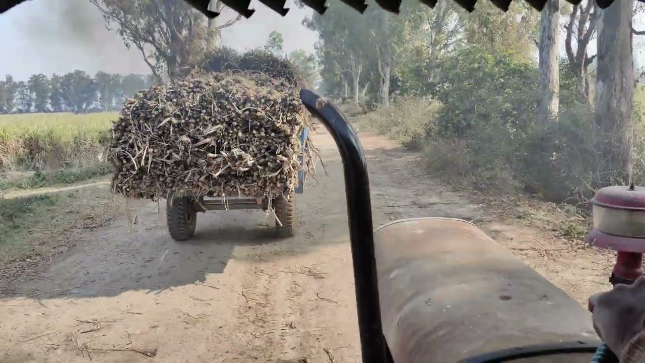 Trolly Bharke Laye Aaj🚜 #eicher #eichertractor #tractor #farming #farmer #farm #viralvideo 