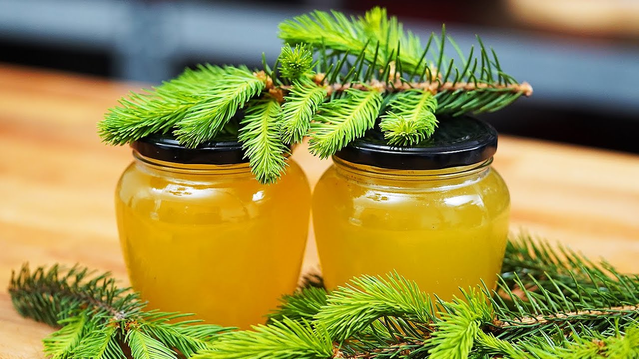 🌲Сироп из почек ели, настоянный на холоде, натуральное средство для здоровья легких