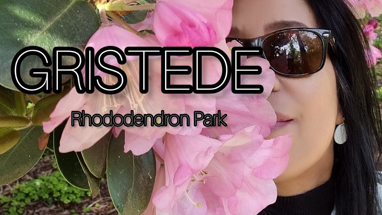 Gristede  //Rhododendron Park