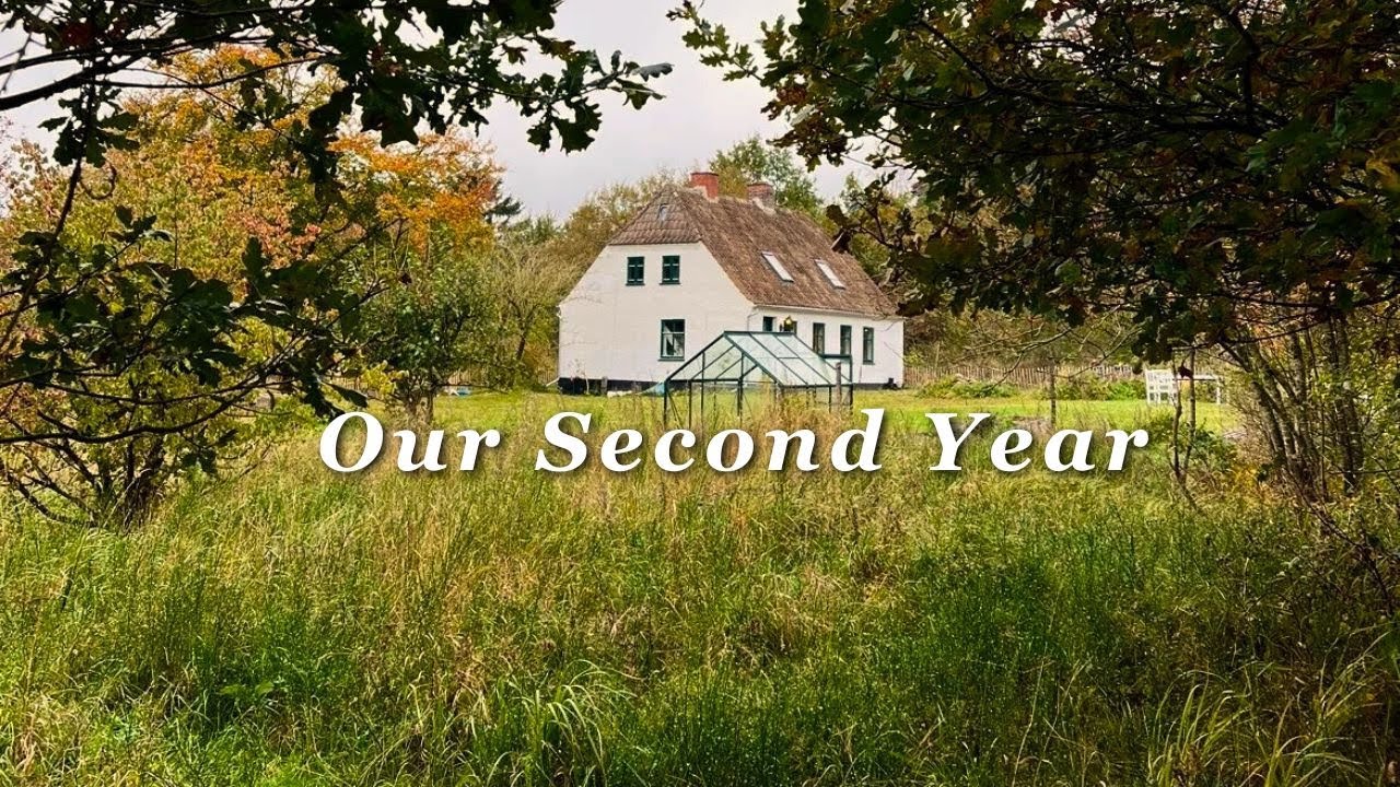 2 Years of Transforming an Abandoned Homestead in the Danish Countryside