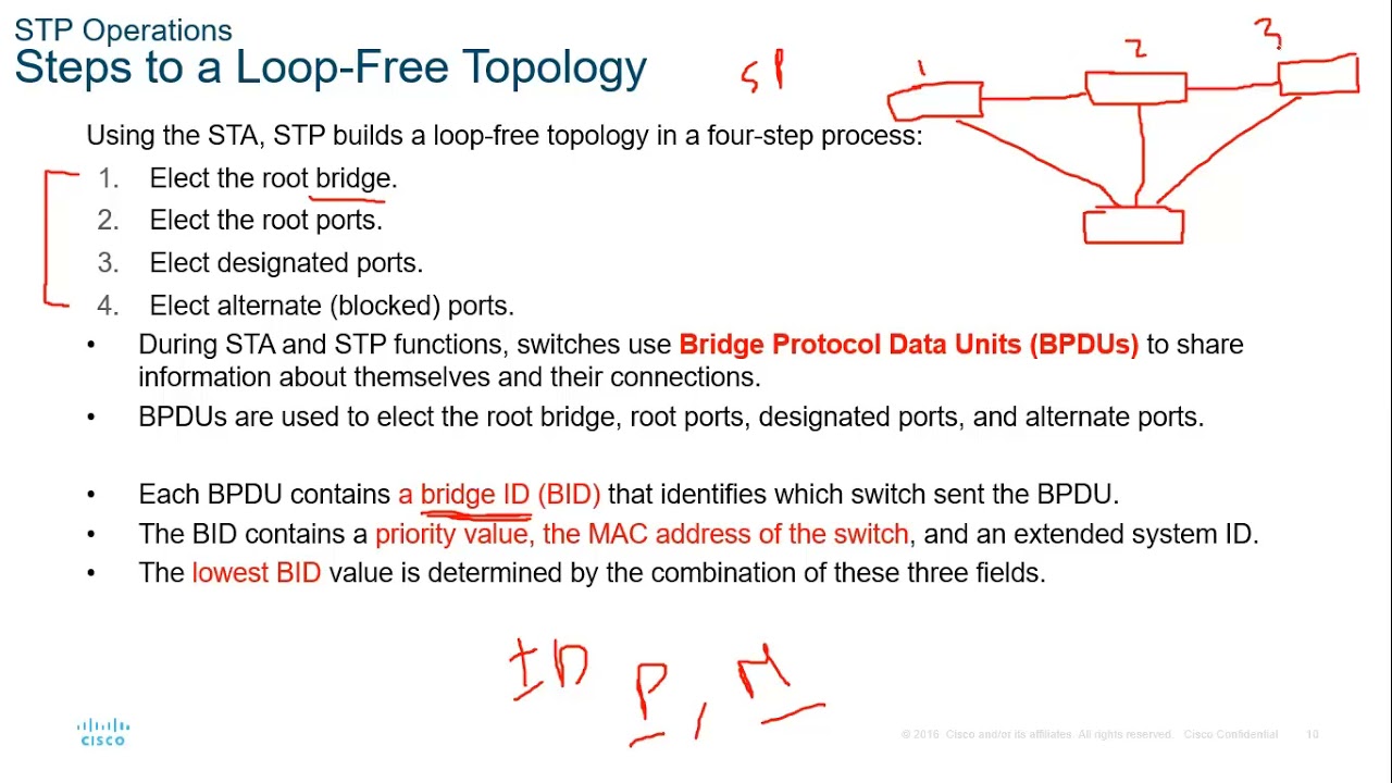 Spanning Tree Protocol (STP) شرح