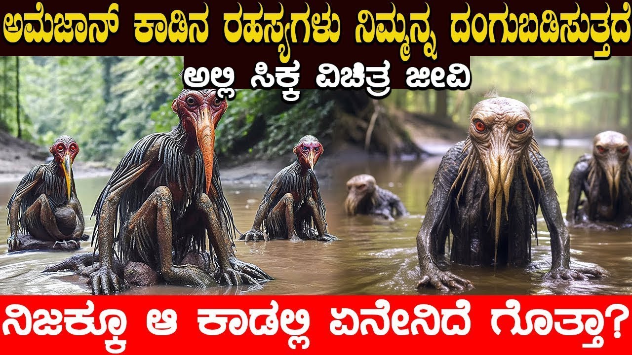 ಅಮೆಜಾನ್ ಕಾಡಿನಲ್ಲಿ ಸಿಕ್ಕ ವಿಚಿತ್ರ ಜೀವಿ..! ನಿಜಕ್ಕೂ ಆ ಕಾಡಿನಲ್ಲಿ ಏನೇನಿದೆ ಗೊತ್ತಾ?